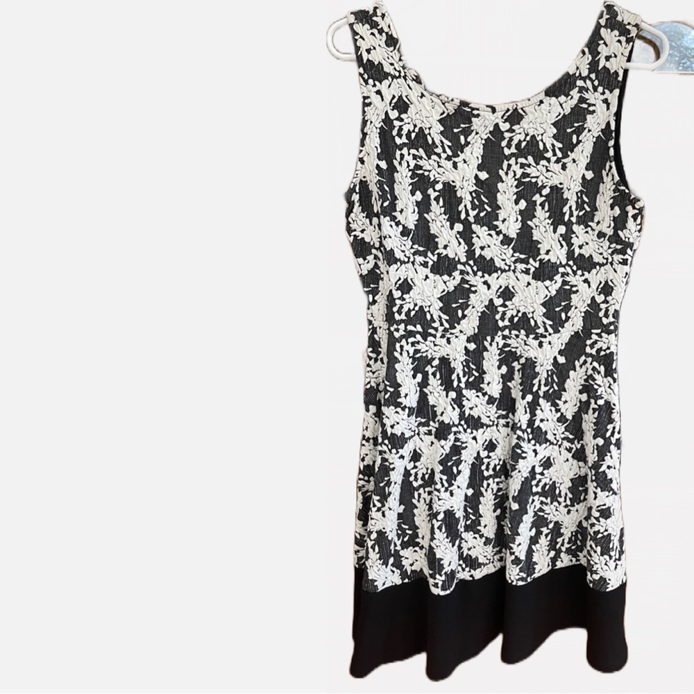 LE LIS Mid Length Lace Dress
